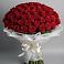 Букет 101 Красная роза Блэк Мэджик в Апанасенковском