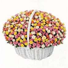 Премиум букет из: Розы в Апанасенковском