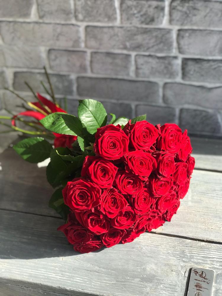 Букет Красные розы Фридом в Апанасенковском