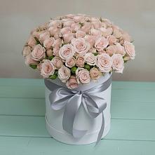 Цветочная композиция из Розы в шляпной коробке в Апанасенковском