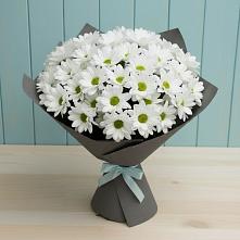 Букет цветов из:  Хризантемы в Апанасенковском