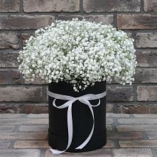 Цветочная композиция из Гипсофила в шляпной коробке в Апанасенковском