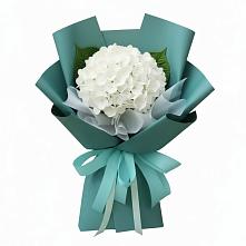 Букет цветов из:  Гортензия в Апанасенковском